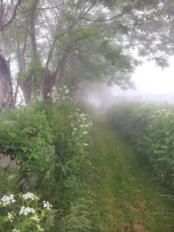 Auberge La Bergerie Sainte-Marie-de-Campan Kültér fotó